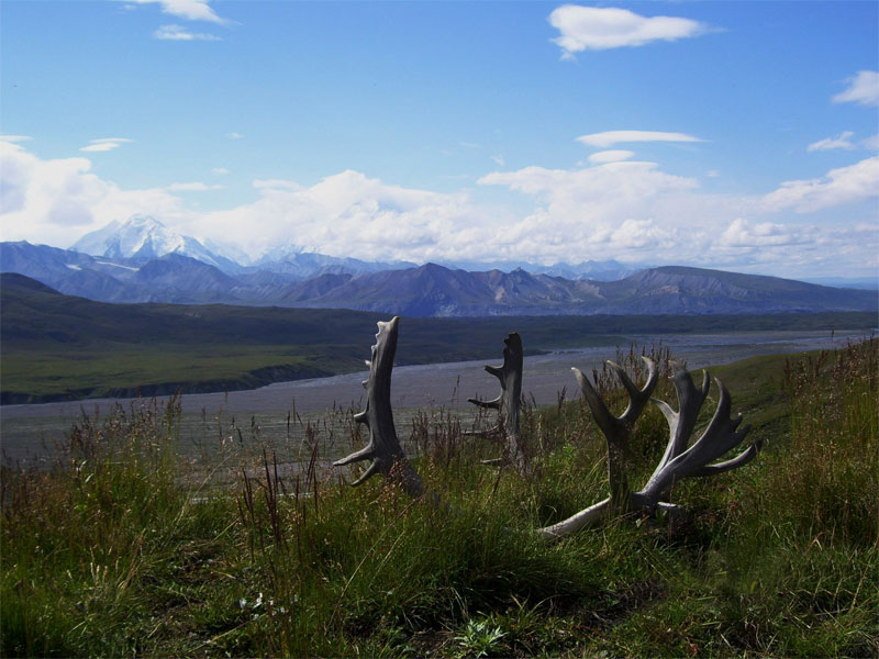 Alaska
