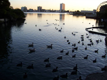 Lake Merritt