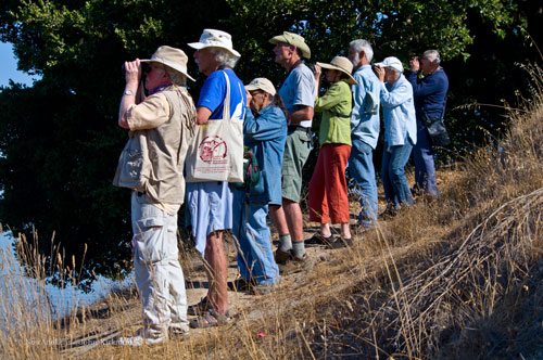 Ted Pierce birding with group